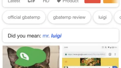 What did you search for on the 'net today?