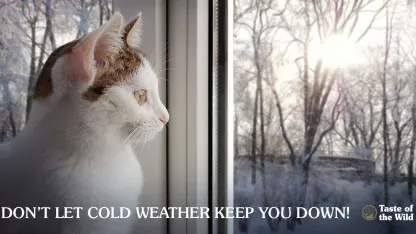 How do you keep active when it's cold out?