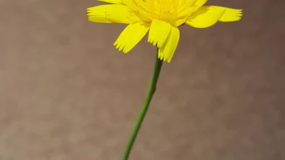 Some times it's the little things.