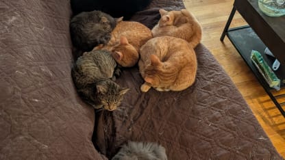 Well... I guess I will sit on the floor then...