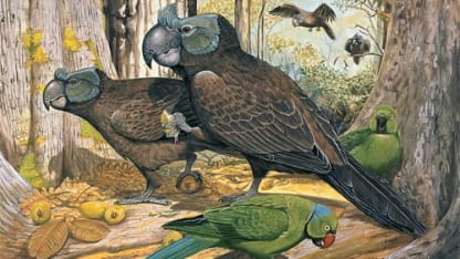 Giant Prehistoric Parrot
