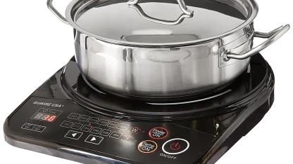 GoWISE Induction Plate with Pot