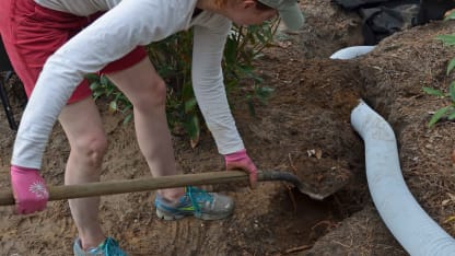 Getting any work done around the house or yard this weekend?