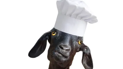 Goat Off My Lawn! (February 2022 Scapegoat Blame Thread)