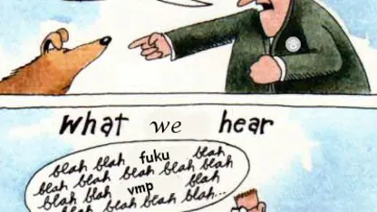 vmp 취소 안되나요?