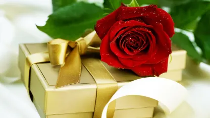 go home, surprise package!