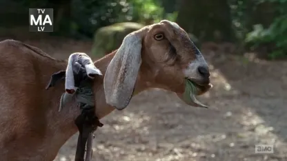 @KittySprinkles Rides Again! (March 2018 Scapegoat Blame Thread)