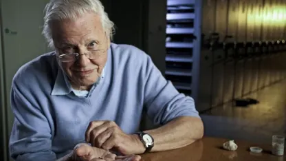 David Attenborough, I am not.