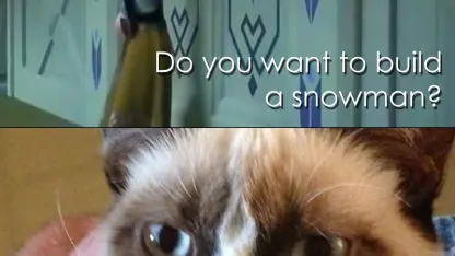 That guy who lives in Buffalo: I have survived...