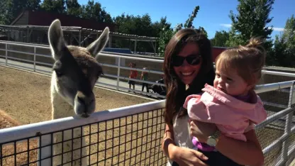 Anyone think I'll find a 32" TV for under $150 before Thanksgiving?