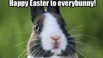 Happy Easter (a few hours early)