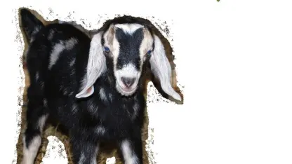 Temporary goats:  gather here to accept blame:  and take a fine trip!