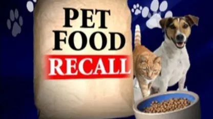 Dog Food Recall