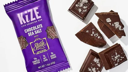20-Pack: KiZE Keto Steak Shake Chocolate Sea Salt Protein Bars