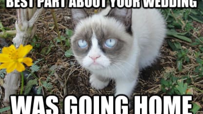 The best part of going to weddings: