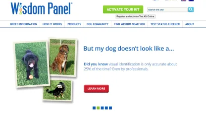 Do you care about websites testing different options on you?
