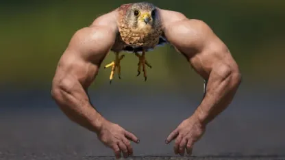 So you are in the park..