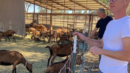 2020 Dec. Goat Daily Rant 07