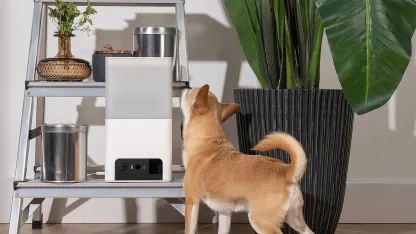 Petcube Bites 2 Lite Interactive WiFi Pet Monitoring & Treat Dispensing Machine