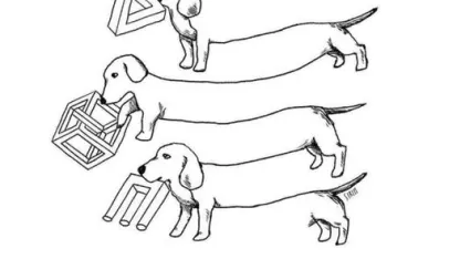 Is there something wrong with my dog?