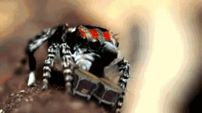 Let me sing you the song of my people.