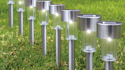 24-Pack: Eternal Living Solar Pathway Lights