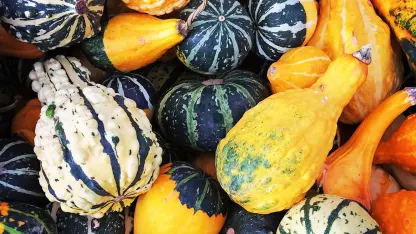 GOURDS