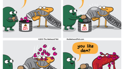 How many organs do you really need, anyway?