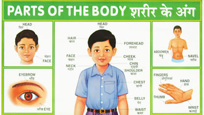 Parts of the Body English to Hindi Translation Poster