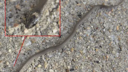 Meanwhile, at Meh HQ