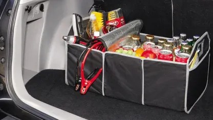 Collapsible Trunk Organizer with Cooler