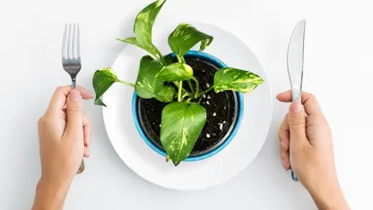 Preemptive Strike Against "Keto" Snake Oil