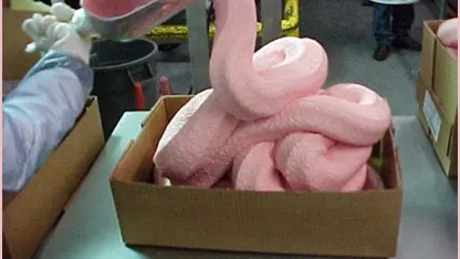 I just realized about Mad Ape Den...