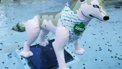 Inflatable of the Day 4/4