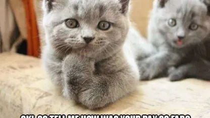 So how was your day?