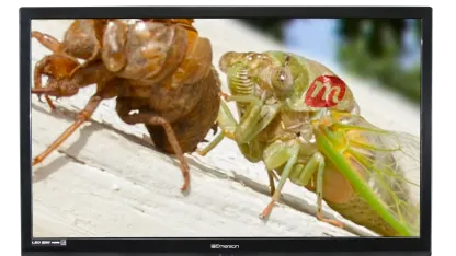 Emerson or Magnavox 39" 1080p LED TV (Refurbished)