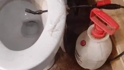 Another bidet suggestion.