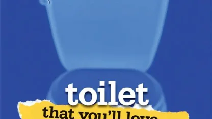 Advice Needed On how to Pick out a Toilet. Seriously.