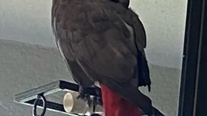 Not that this has to do with anything being sold or discussed