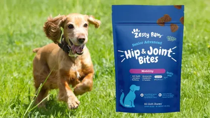 4-Pack: Zesty Paws Advanced Hip & Joint Mobility Bites