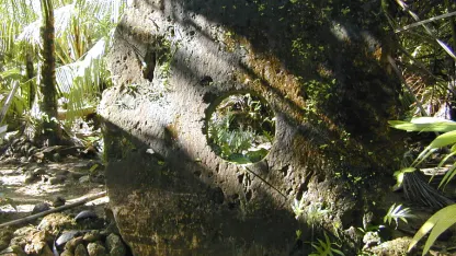 Meh needs to accept Rai