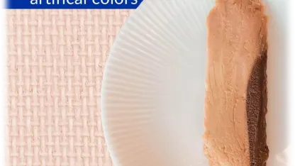 48-Pack: INABA Hand-Cut Grilled Fillet Cat Treats