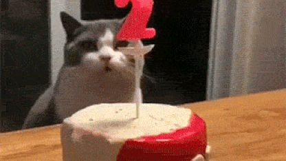 Happy birthday, @kidsandliz!