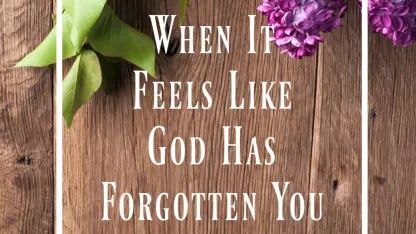 What season does it FEEL like where you are?