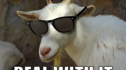 When the Goats of Summer Have Gone - August Blame Thread