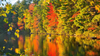 Which New England state do you like the most?