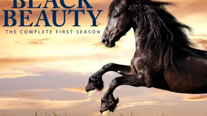 Amazon farms out shipments & they get lost