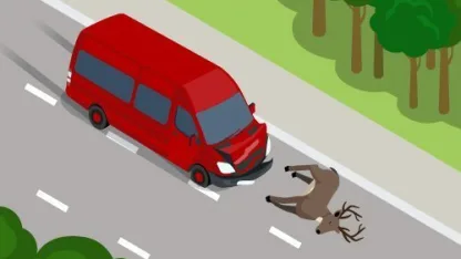 My goat car accident
