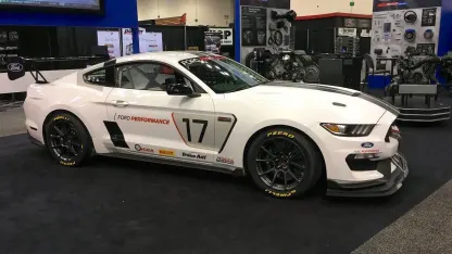 Have you ever stripped?