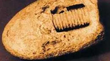 Personal info on 200 million Americans left available to the public